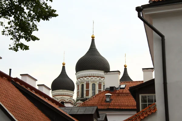Alexander nevsky kathedrale russisch orthodox in tallin — Stockfoto