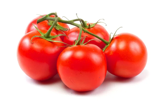 Pobočka rajčete izolovaných na bílém pozadí — Stock fotografie