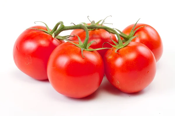 Branch of tomato isolated over white background — Stock Photo, Image