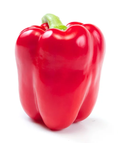 Червоний солодкий перець на білому тлі — стокове фото