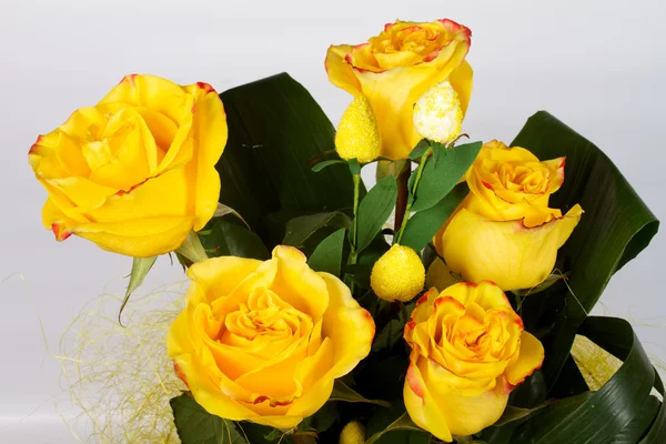Close-up shot of roses — Stock Photo, Image