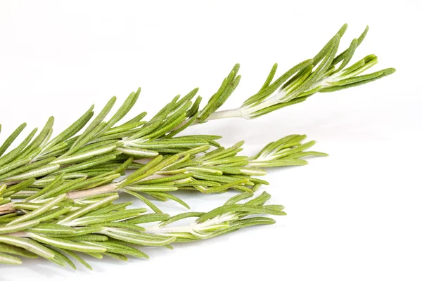 stock image Rosemary herb isolated on white