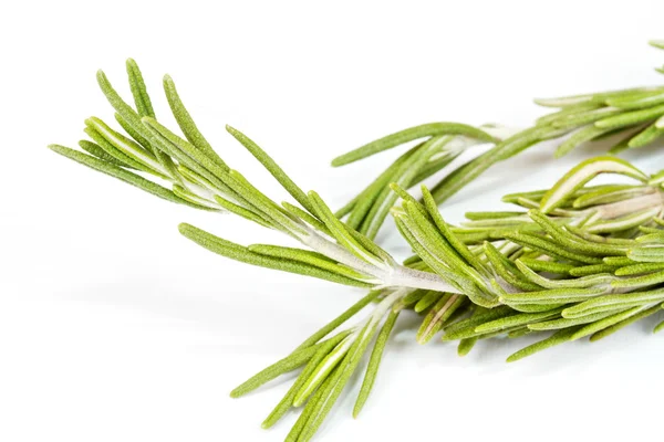 Rosemary herb isolated on white — Stock Photo, Image