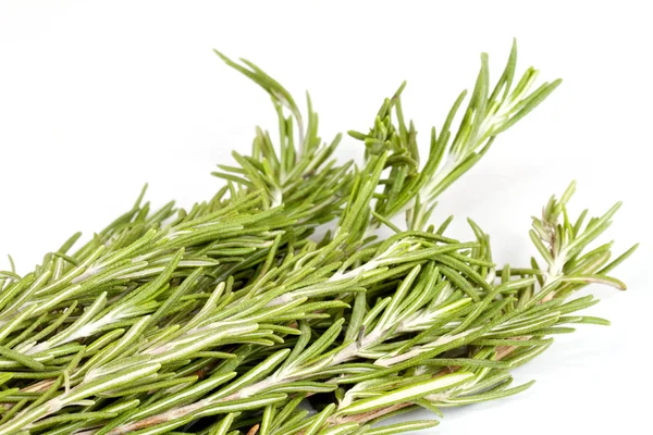 Rosemary herb isolated on white — Stock Photo, Image