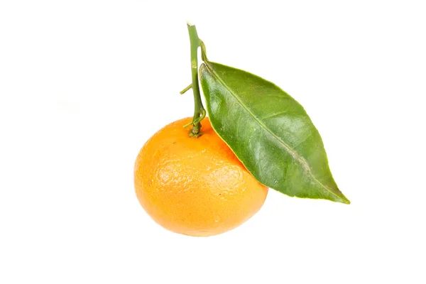 Mandarin, zöld levelekkel, elszigetelt — Stock Fotó
