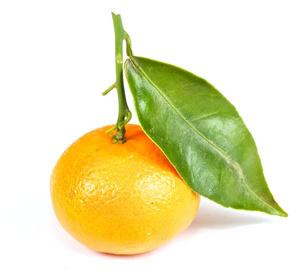 Mandarine mit grünen Blättern isoliert — Stockfoto