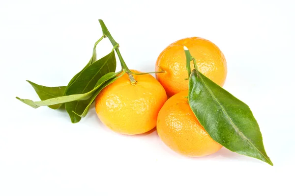 stock image Mandarin with green leaves isolated