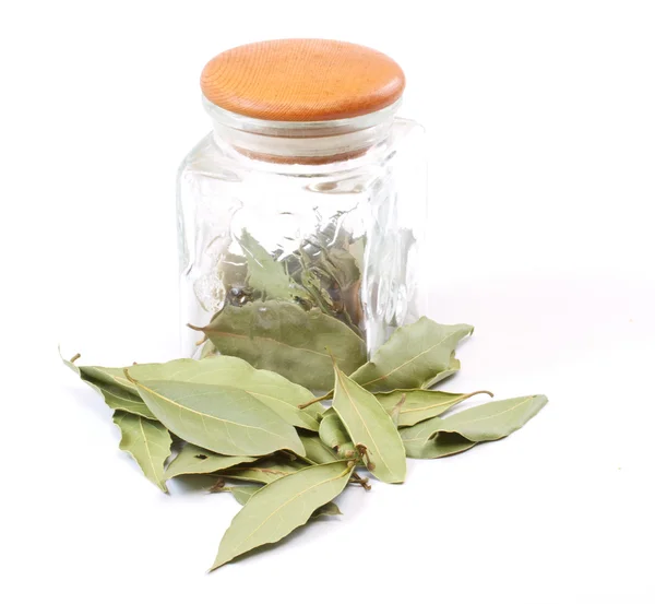白で隔離される jar の月桂樹の葉 — ストック写真