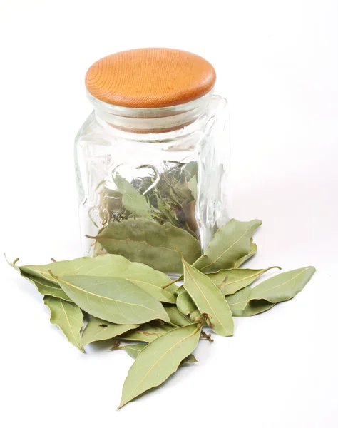 白で隔離される jar の月桂樹の葉 — ストック写真