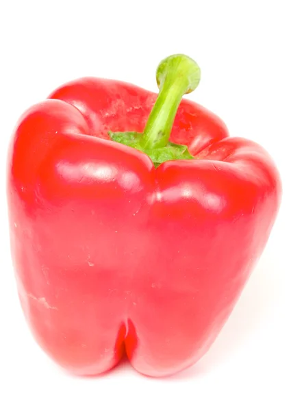 Bright red pepper isolated on white. — Stock Photo, Image