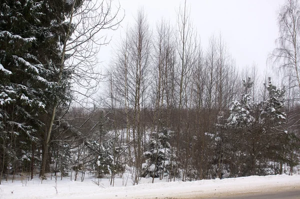 Güzel kış karlı manzarası — Stok fotoğraf