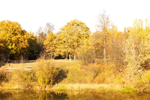 Kleurrijke herfst bomen fort aan de rivier voorkant — Stockfoto