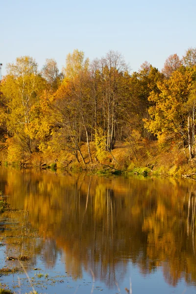 Színes őszi fák erőd a folyó partján — Stock Fotó