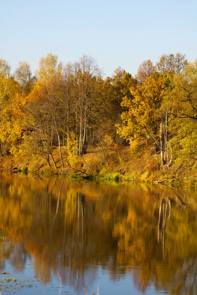 Bunte Herbstbäume an der Uferpromenade — Stockfoto