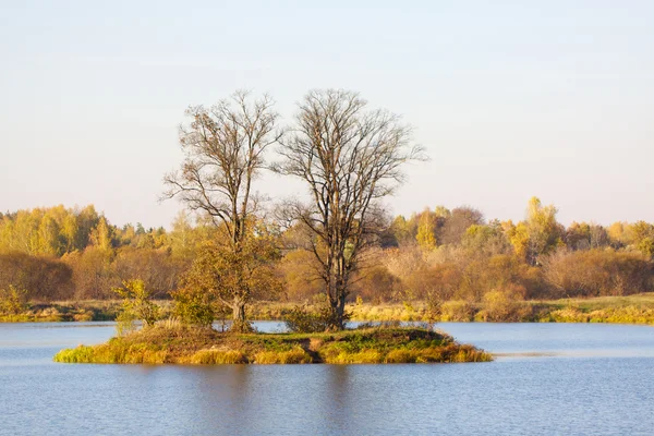 stock image Colorful autumn trees fortress at the river front