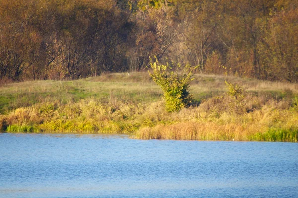 Kolorowe jesienne drzewa twierdza na brzegu rzeki — Zdjęcie stockowe