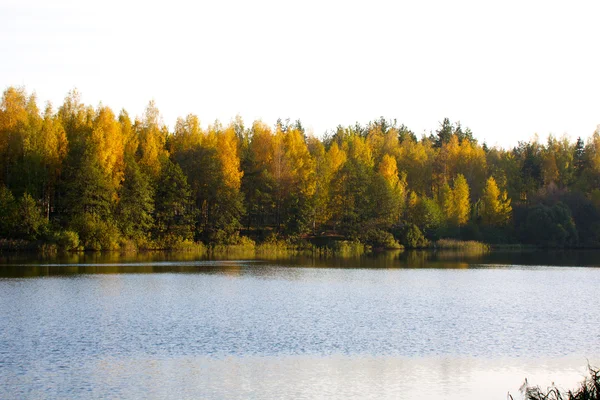 Coloridos árboles de otoño fortaleza en la orilla del río —  Fotos de Stock