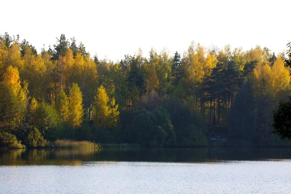 川の前のカラフルな秋の木の要塞 — ストック写真