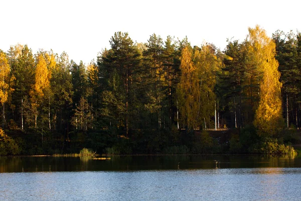 Kleurrijke herfst bomen fort aan de rivier voorkant — Stockfoto