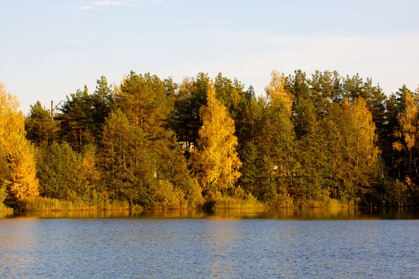 Πολύχρωμο φρούριο φθινόπωρο δέντρα στο μέτωπο του ποταμού — Φωτογραφία Αρχείου