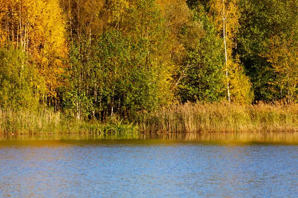 Stock image Colorful autumn trees fortress at the river front