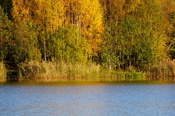 stock image Colorful autumn trees fortress at the river front