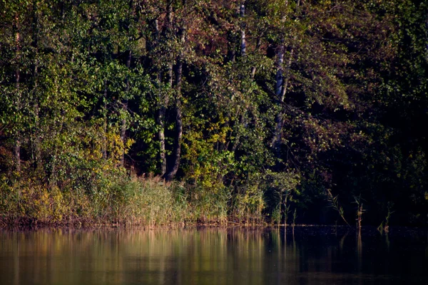 Kolorowe jesienne drzewa twierdza na brzegu rzeki — Zdjęcie stockowe
