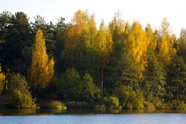 Nehir kıyısındaki renkli sonbahar ağaçları kalesi — Stok fotoğraf