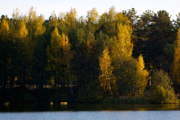 Barevné podzimní stromy pevnost na břehu řeky — Stock fotografie