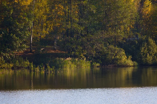 stock image Colorful autumn trees fortress at the river front