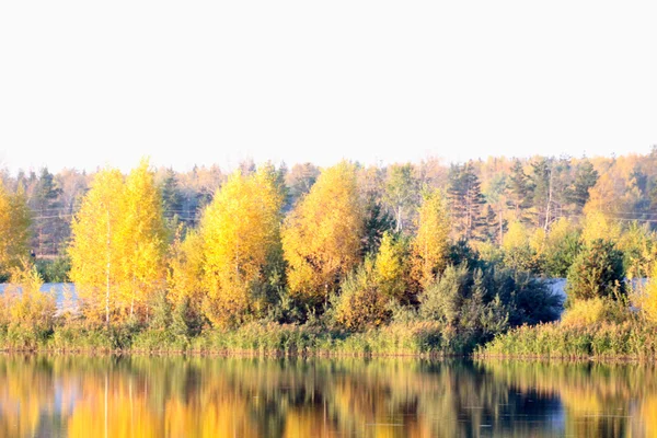川の前のカラフルな秋の木の要塞 — ストック写真