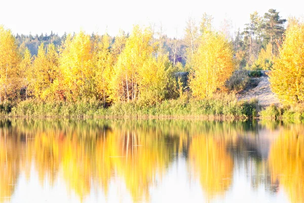 Fortaleza de árvores de outono colorido na frente do rio — Fotografia de Stock