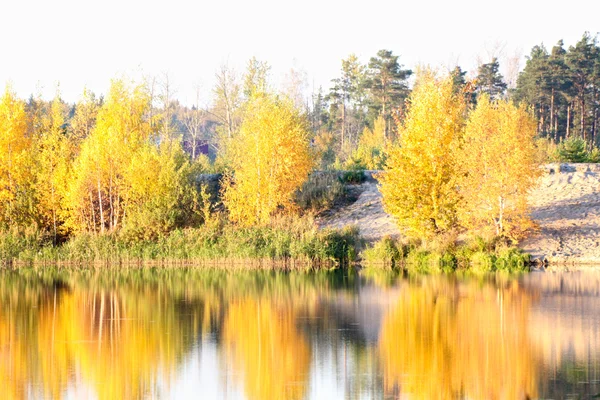 Fortaleza de árvores de outono colorido na frente do rio — Fotografia de Stock