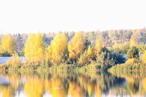 Coloridos árboles de otoño fortaleza en la orilla del río — Foto de Stock