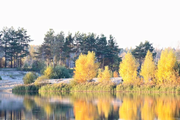 Färgglada höstträd fästning vid floden front — Stockfoto