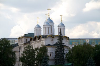 Moscow city, Rusya Federasyonu. Kremlin