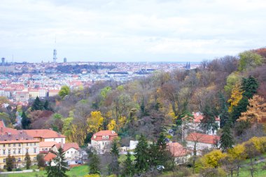 Prag'ın Gotik Kalesi ve Binalar üzerinde görünüm