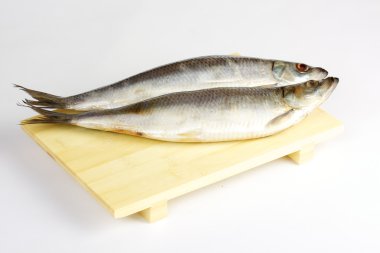 Salted herring isolated on the white background clipart