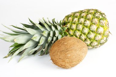 Pineapple and coconut clipart