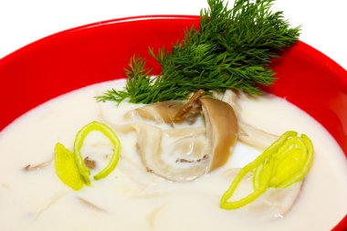 Japonya trditional çorbası