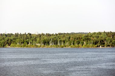 İsveç adalar Lonely Island