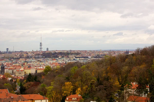 Stock image The View on the Prague's gothic Castle and Buildings