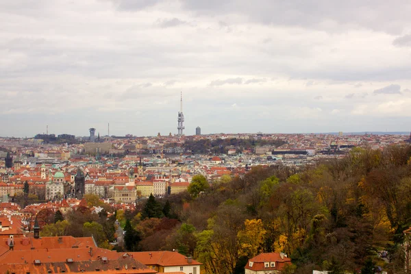 Вид на готический замок и здания Праги — стоковое фото
