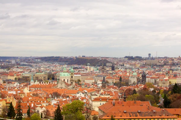 Prag'ın Gotik Kalesi ve Binalar üzerinde görünüm — Stok fotoğraf