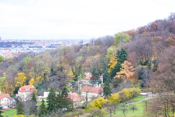 Het uitzicht op de Praagse gotische burcht en gebouwen — Stockfoto