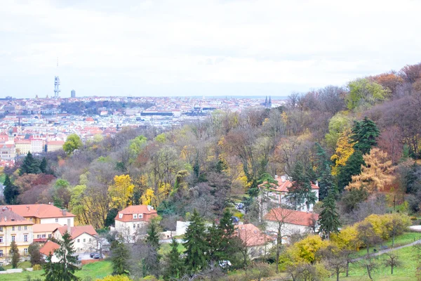 Prag'ın Gotik Kalesi ve Binalar üzerinde görünüm