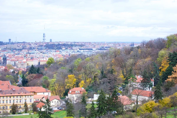 stock image The View on the Prague's gothic Castle and Buildings