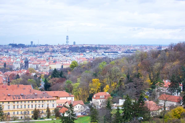 stock image The View on the Prague's gothic Castle and Buildings