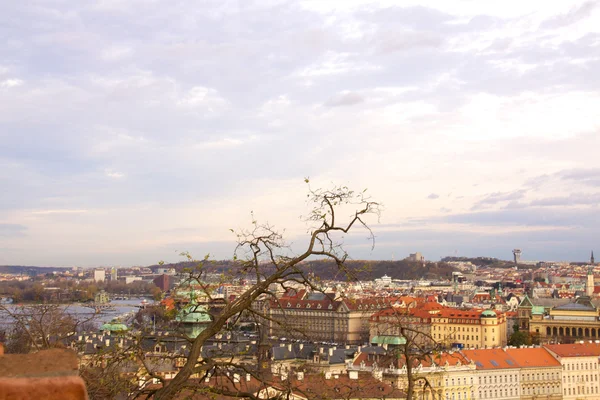 旧布拉格城市视图 — 图库照片