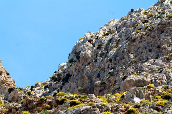 Wysokie góry i skały w Grecja Rodos — Zdjęcie stockowe